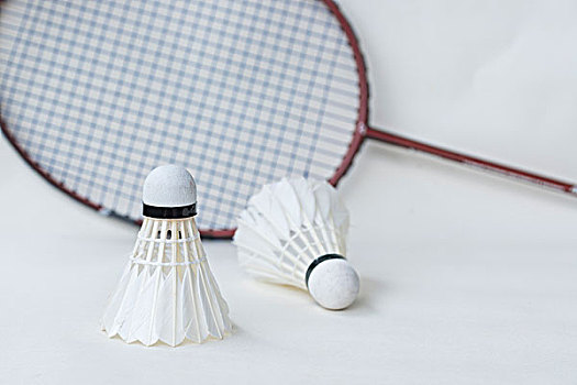 对俱乐部的 对俱乐部的