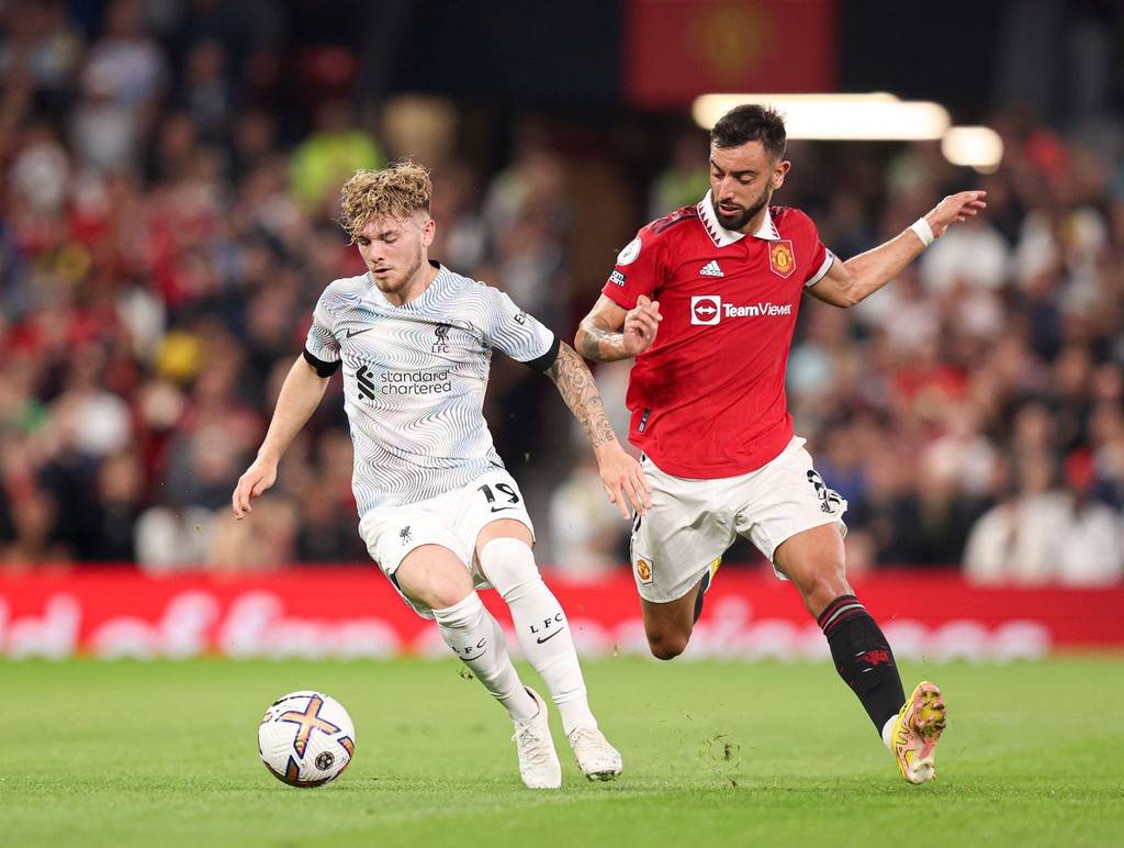 新的田野 新的田野