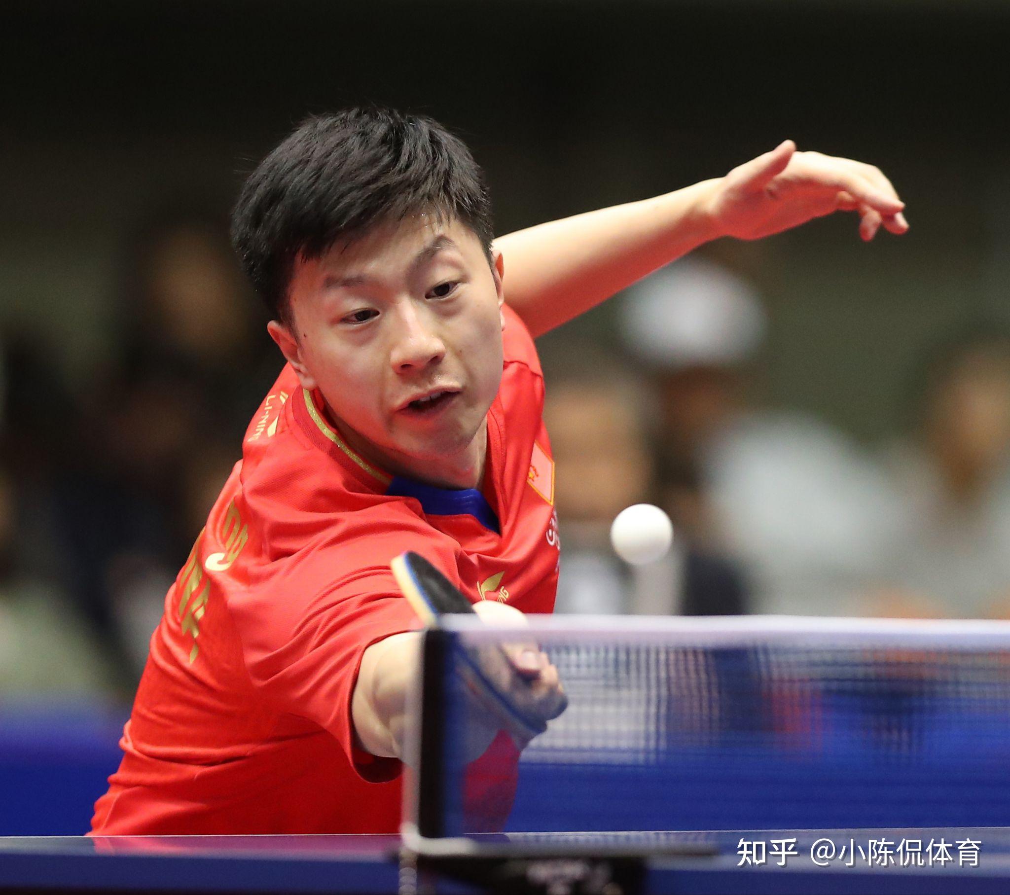 马塞利诺的 马塞利诺的