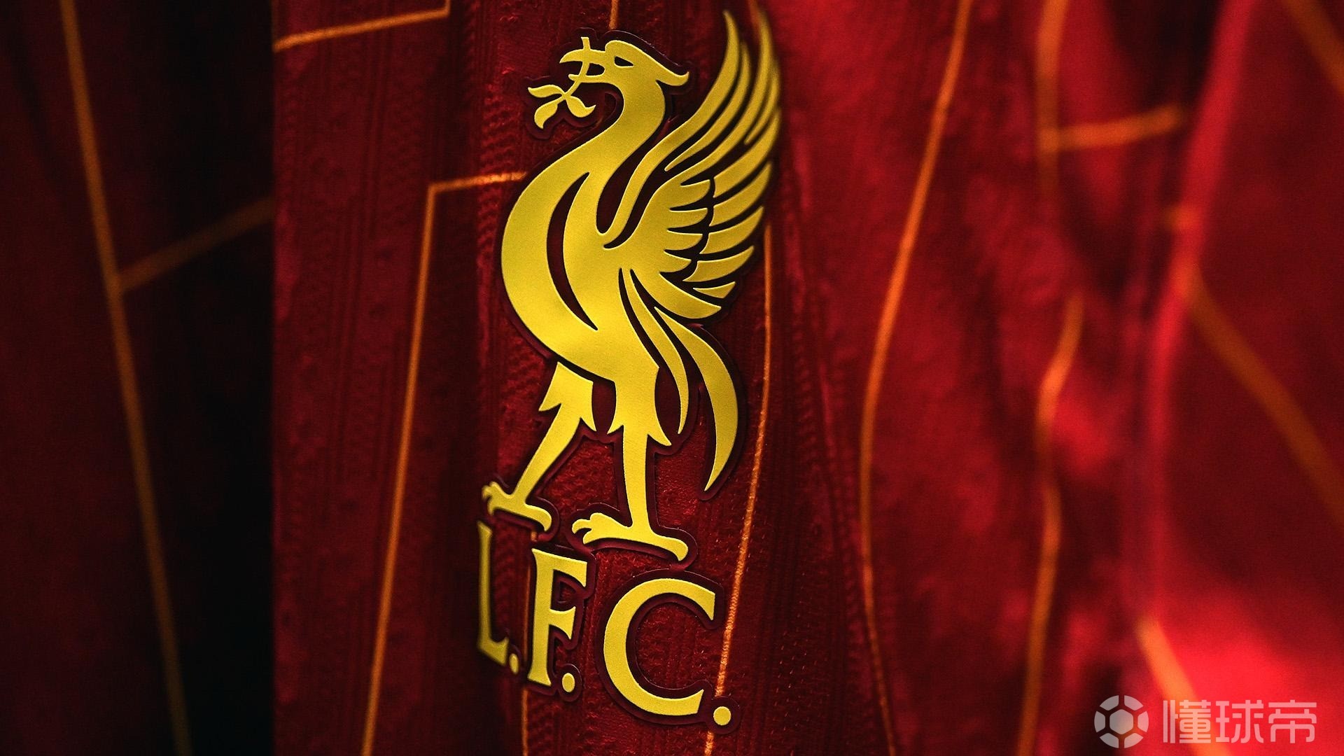 河南队换上 河南队换上